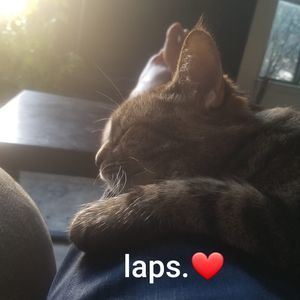 Meet your Posher, Elly